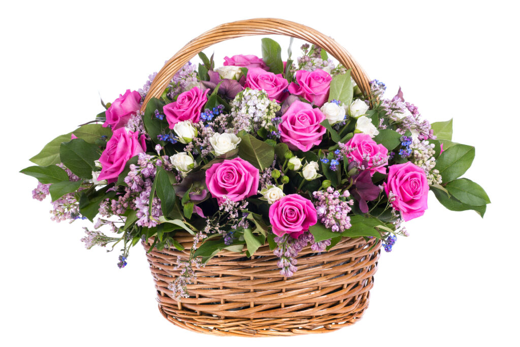 pink-roses-basket-bucks